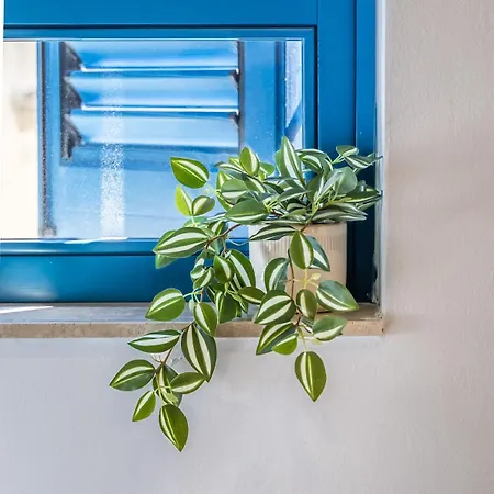 Апартаменты Palazzo Ducoss - 7 - Two Bedroom One Bathroom